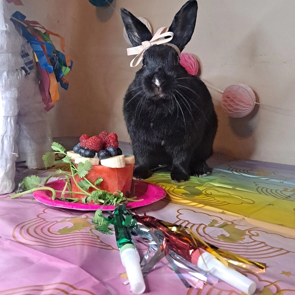 Taste of Rock and roll 🤘